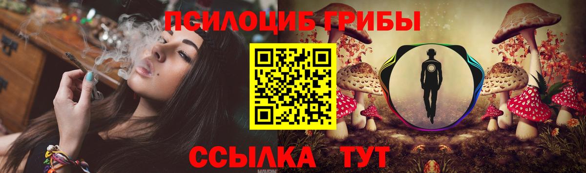 Псилоцибиновые грибы прущие грибы Тобольск