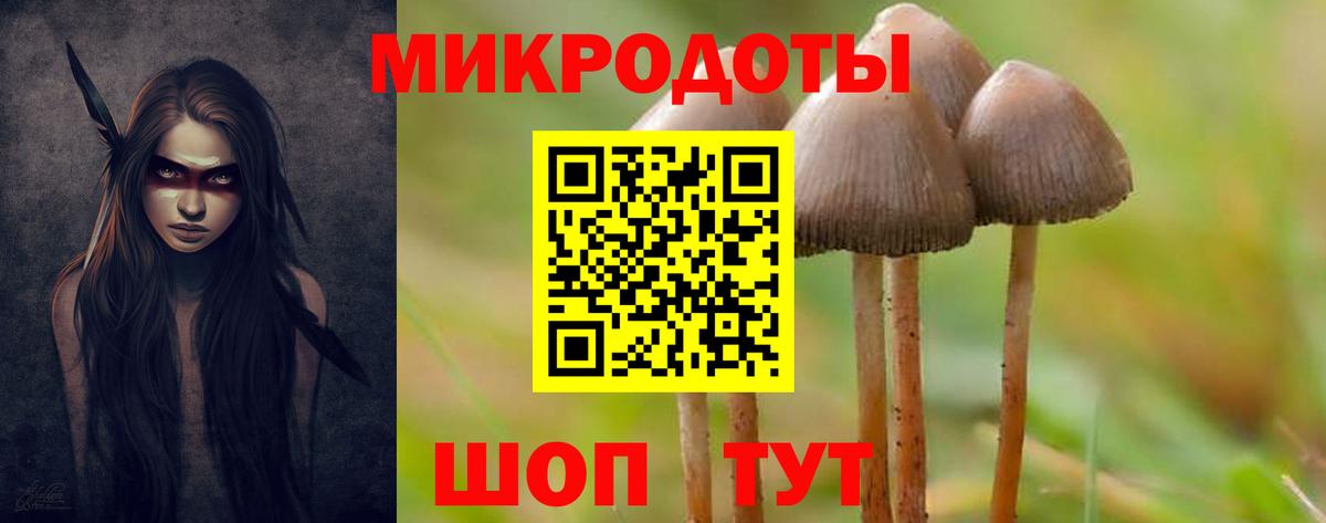 Галлюциногенные грибы Psilocybine cubensis  Галлюциногенные грибы Magic Shrooms  Тобольск  Вход с VPN 